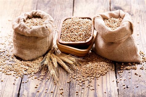 which grains are low fodmap.